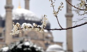 16 Mart 2013 - Edirne 16 mart 2013 edirne kar